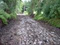 20110000 LA PAVÉE Pont-Farcy 28-2